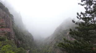 云雾缭绕的壮美山景