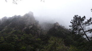 云雾缭绕的山峦美景