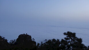 黄昏山林云海景观