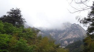 云雾缭绕的山间美景