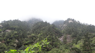 云雾缭绕的葱郁山峦