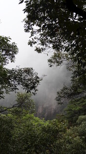 山林云雾间的自然景致