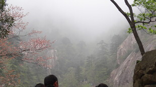 雾中赏景的山间游客