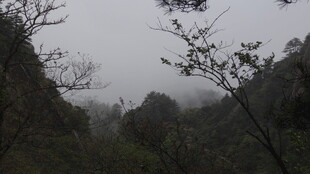 山间云雾缭绕的朦胧景致