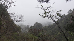 山间雾景 朦胧自然之美