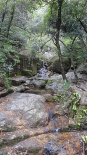 山林间的潺潺溪流