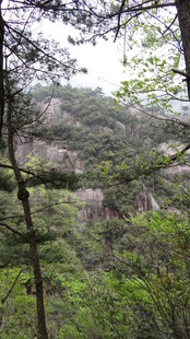 山林绿意盎然的自然景致