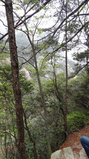 山林中一人徒步的身影