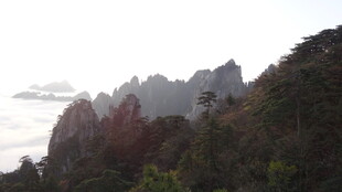 壮丽山峦云海景观