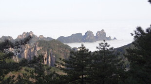 壮丽山景 林木葱郁