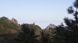 壮丽山景 峰石与松的画卷