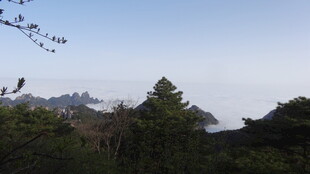 山林景色 远观雾中山峦