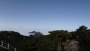 山间美景 远眺葱郁山林