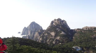 巍峨山峰与葱郁植被景观