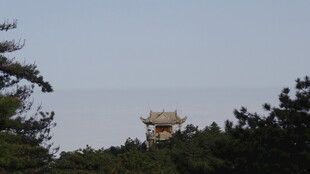 林间远望的古老建筑