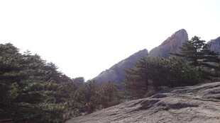 巍峨山峦间的葱郁景致