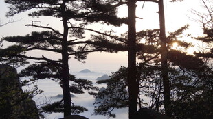 夕阳下的山林雪景