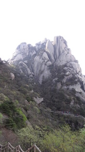 巍峨山峰与葱郁植被景观