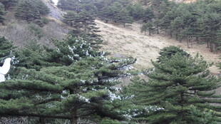 山林间蜿蜒小路