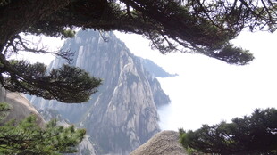 透过松枝望巍峨山峰