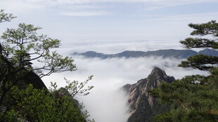 黄山云海景观壮美如画