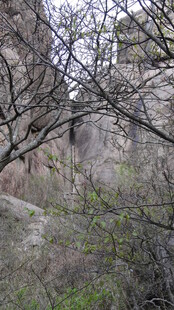 山间岩石旁的稀疏植被