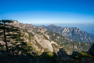 壮丽山景 挺拔青松傲立