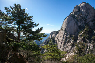 巍峨山峰与葱郁树木