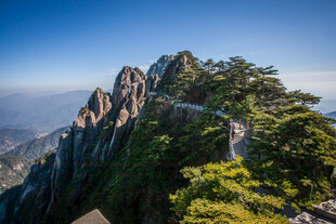 峻峭山峰与葱郁植被景观