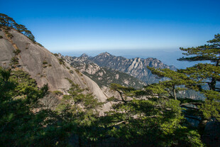 壮丽山景 青松相伴