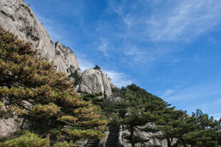 巍峨山峰与葱郁树木