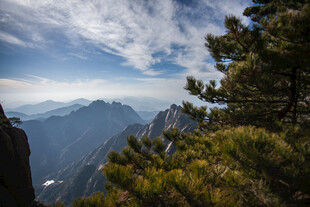 山巅松景 远眺壮阔山峦