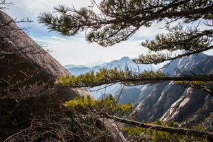 山间松景 览壮丽自然风光