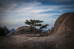 山间孤松伴巨石美景
