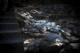 石砌台阶处的斑驳光影
