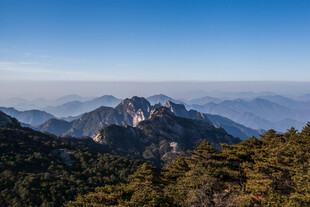 壮丽山景 葱郁山林
