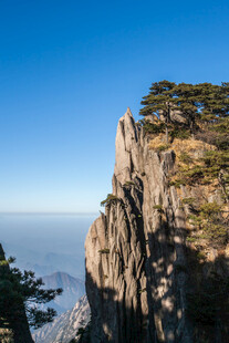 悬崖峭壁上的挺拔松树