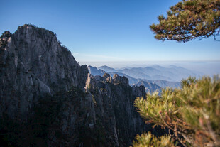 巍峨山峰与葱郁松树景观