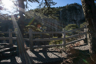 山间木质栈道风景