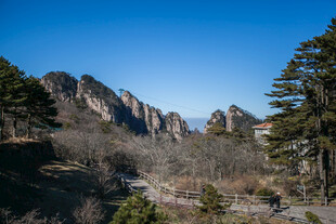 壮丽山景与葱郁树木景观