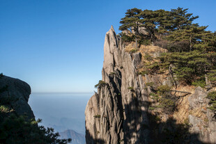 峻峭山峰上的葱郁树木
