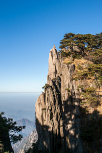 黄山奇峰上的挺拔松树