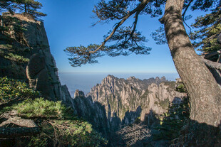 黄山奇峰劲松壮美景观