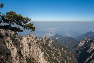 黄山奇峰上的孤傲松树