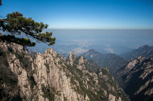 黄山奇峰上的孤松景观