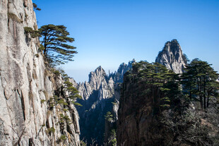巍峨黄山奇峰与苍松景观