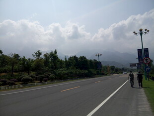 宽阔公路旁的清新风景