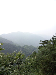 山峦间绿意盎然的景致