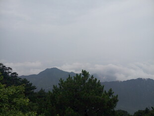 山间云雾缭绕的绿意景致