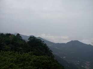 山峦叠翠间的绿意景致